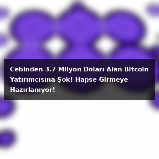 Cebinden 3.7 Milyon Doları Alan Bitcoin Yatırımcısına Şok! Hapse Girmeye Hazırlanıyor!